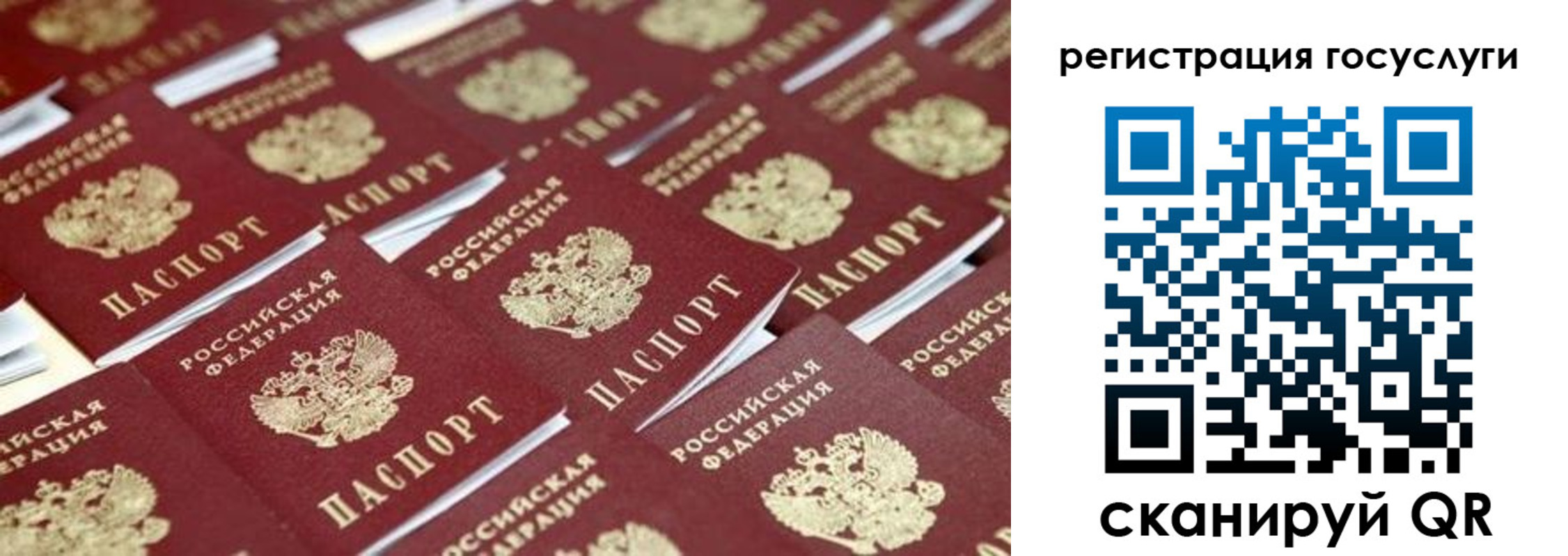 прописка ребенка в Биробиджане